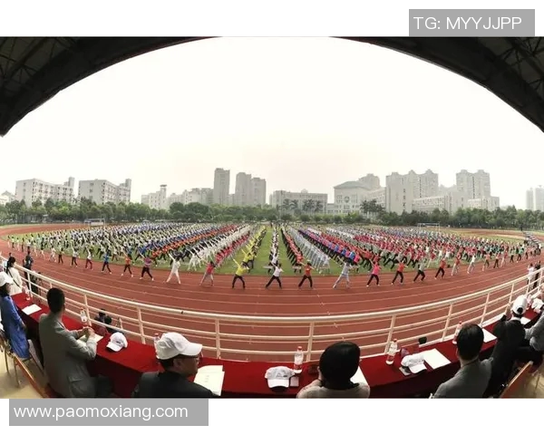 竞技体育的核心目标与价值探析：促进身体素质提升与全面发展