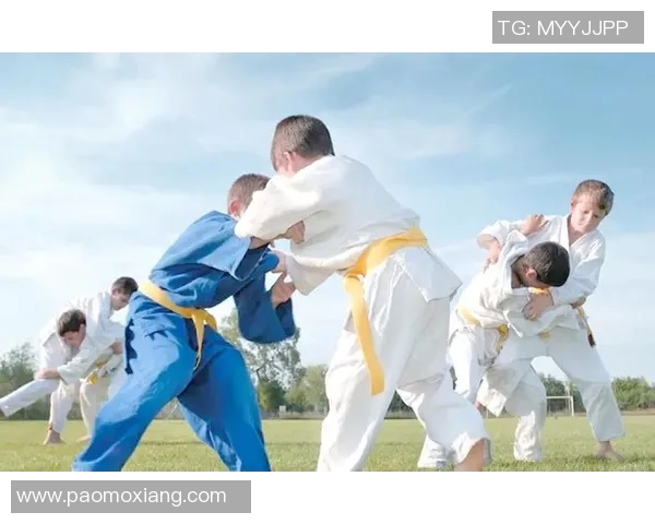 柔道技艺与精神传承探讨：从传统到现代的演变与发展