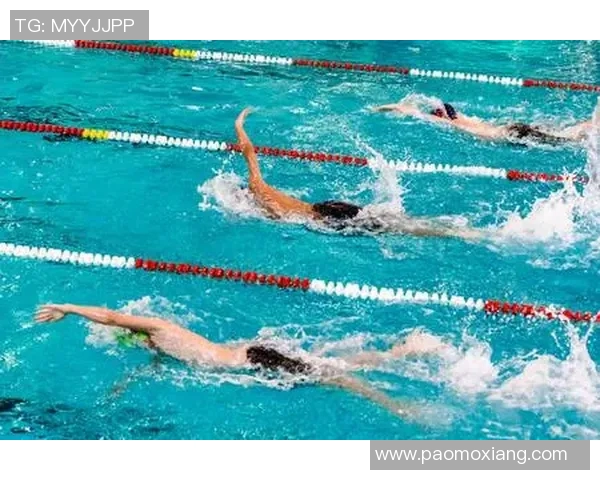 自由泳比赛中的心理调适与备战策略解析