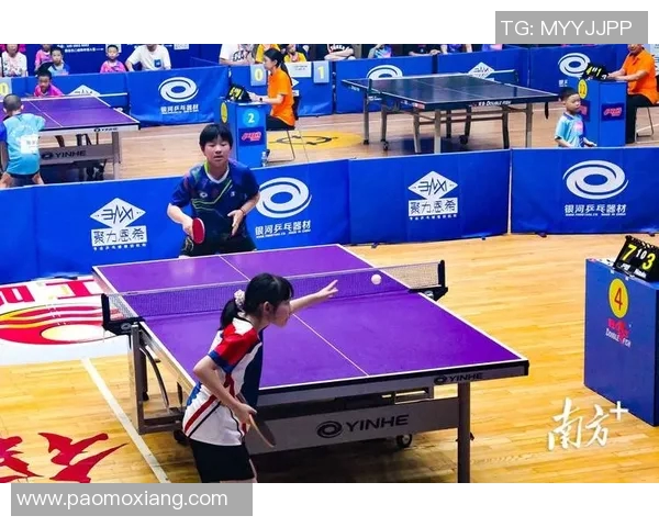 球类运动的多样性与魅力：从传统到创新的运动项目与发展趋势探索