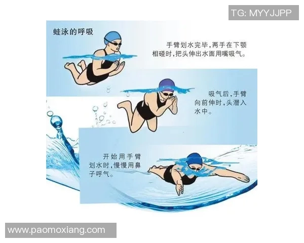 蛙泳动作分解与技巧提升全面指南，助你快速掌握标准泳姿