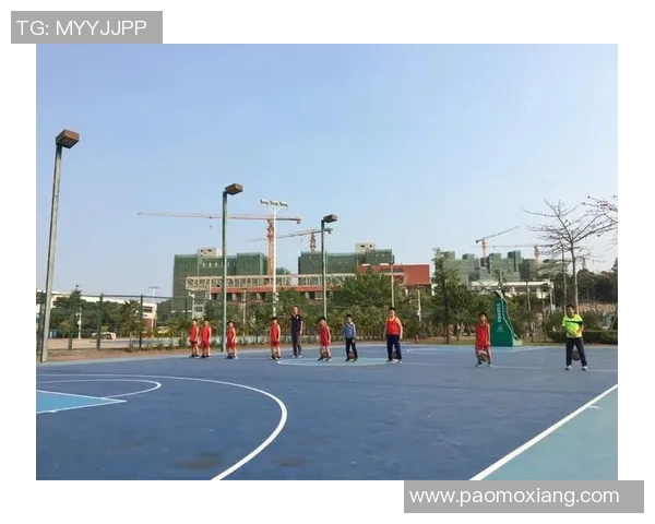 北京篮球队心理素质分析与表现评估的综合研究报告